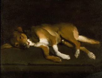 Un perro tumbado en un risco, c. 1630-1720 (óleo sobre lienzo)