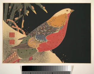Faisán dorado en la nieve, c.1900 (xilografía, tinta y color sobre papel)
