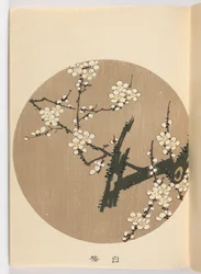 Jakuch? gafu, Era Meiji, 1908