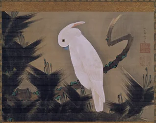 Cacatúa blanca sobre una rama de pino