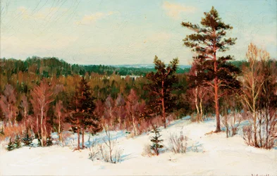 Invierno - Vista sobre el bosque