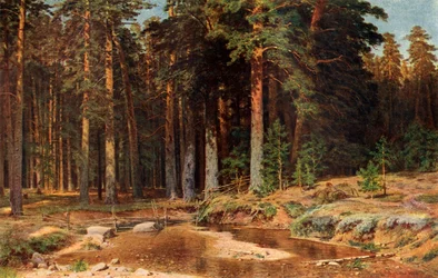 Un pinar, 1898, 1939