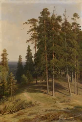 El bosque de pinos, 1895