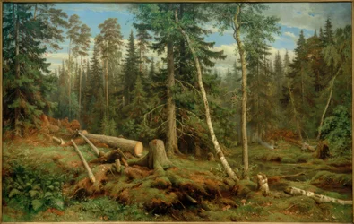 I. I. Shishkin, Tala de madera