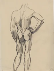 Modelo masculino visto desde atrás