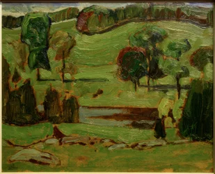 Moore Hill, río Gull