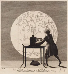 "Kiøbenhavns Skilderie", n.º 1