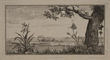 Vista de un paisaje llano, en primer plano planta con insectos y árbol con caracoles