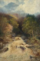 Un bosque de montaña