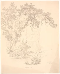 Árboles