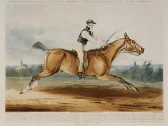 Retrato del Sr. William Hutchinson en 