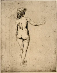 Estudio de desnudo