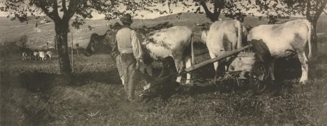 Camera Work: Ploughing Team