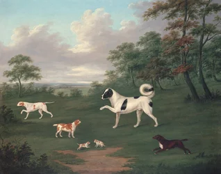 Perros de caza en un paisaje