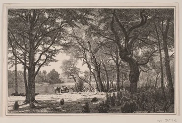 Paisaje forestal de Jutlandia