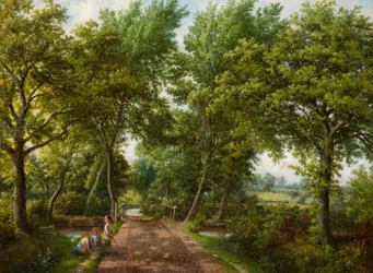 Vado de Hobb Moor Road, Birmingham, década de 1870.