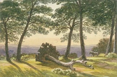 Hampstead Heath, Londres