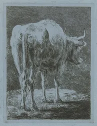 vaca en un paisaje