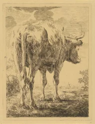Vaca en un paisaje