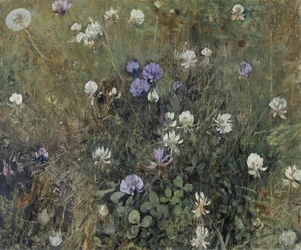Trébol en flor