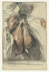 Esperma de calabaza