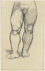 Parte inferior del cuerpo de un niño desnudo
