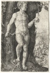 Adán, 1526