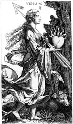Venus, c1520s 1849