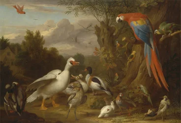 Un guacamayo, patos, loros y otras aves en un paisaje
