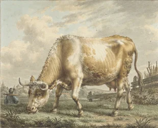 Vaca de pastoreo
