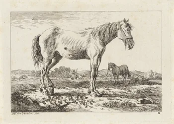 Caballo de pie en un paisaje Seis grabados a partir de dibujos de varios maestros (título de la serie)
