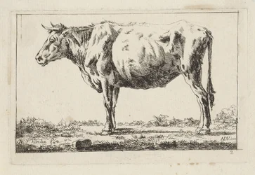 Vaca de pie, a la izquierda