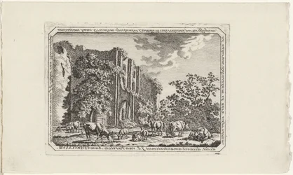 Ganado en las ruinas de Brederode