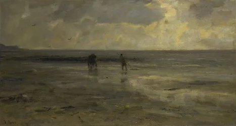 Playa al atardecer