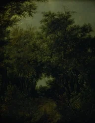 Camino en un bosque de robles
