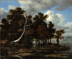 Robles en la orilla de un lago con nenúfares