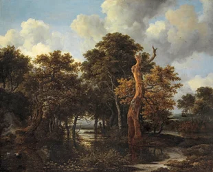 Paisaje de pantano de madera con árbol muerto, c.1665