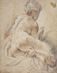 Desnudo femenino, visto de espaldas