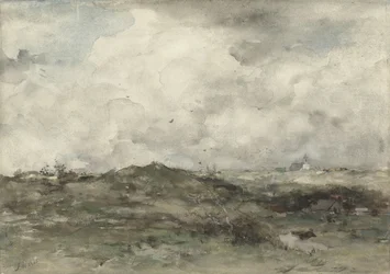 Paisaje de dunas