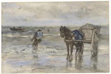 Pescador de conchas en la playa