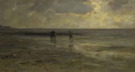 Playa al atardecer
