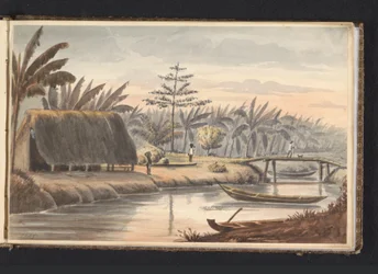 Plantación Visserszorg con campo de plátanos
Campo de plátanos Visserszorg (título en el objeto)
Álbum de dibujos de Surinam, p.9 (50) (título de la serie)