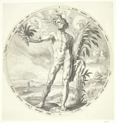 Verano