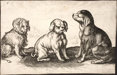 Tres perros pequeños