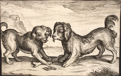 Dos perros pequeños