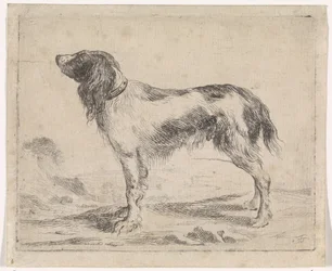perro de pie Perros (título de la serie)