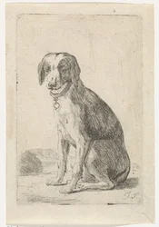 Perro sentado con collar Perros (título de la serie)