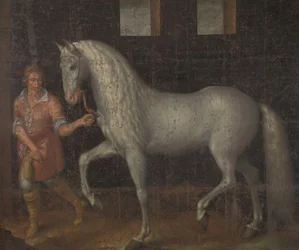 Caballo de guerra español
Un caballo de guerra español capturado por Lodewijk Gunther van Nassau al archiduque Alberto de Austria en la batalla de Nieuwpoort y regalado al príncipe Maurits