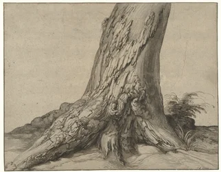 Estudio de un tronco de árbol con raíces
Estudio de un tronco de árbol con raíces