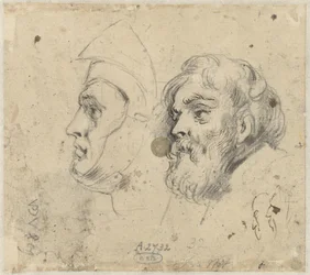 Hoja de estudio con dos cabezas